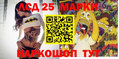 гидра Новодвинск