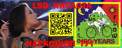 гидра Новодвинск