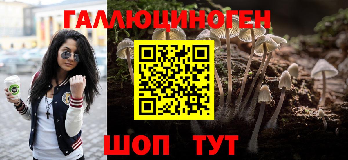 Удомля  Псилоцибиновые грибы Magic Shrooms  сколько стоит  Вход с VPN 